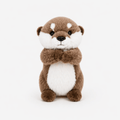 Galet la Loutre - petiteCabane