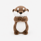 Galet la Loutre - petiteCabane