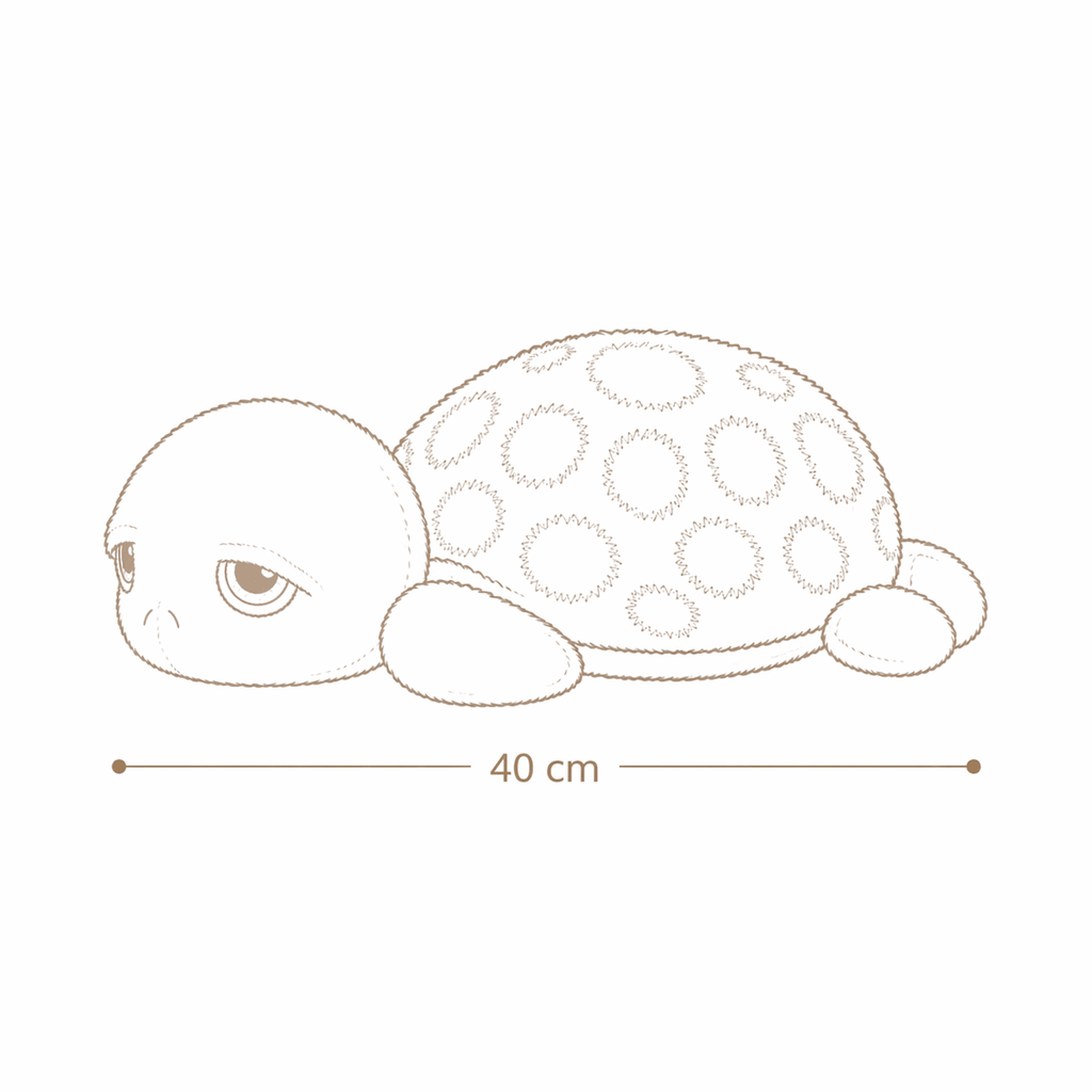 Pistache la Tortue - petiteCabane