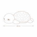 Pistache la Tortue - petiteCabane